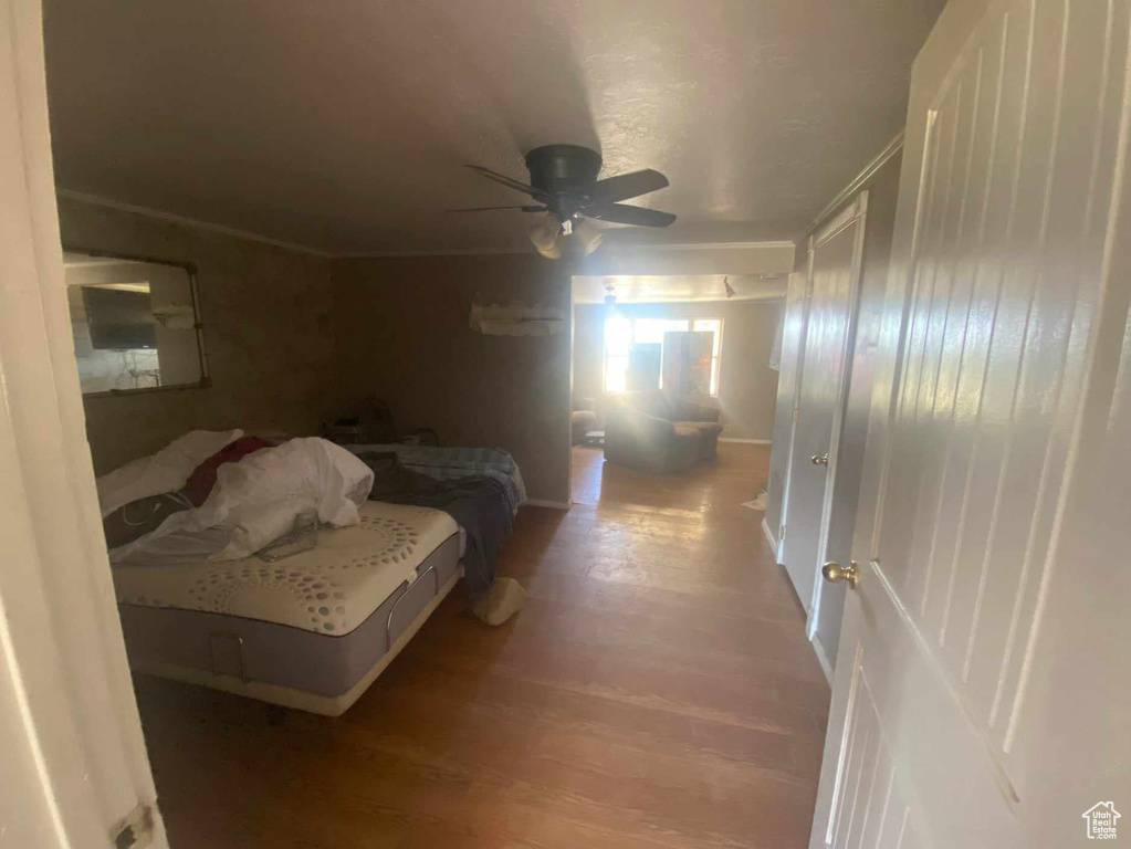 Bedroom featuring ceiling fan, wood-type flooring, and ornamental molding