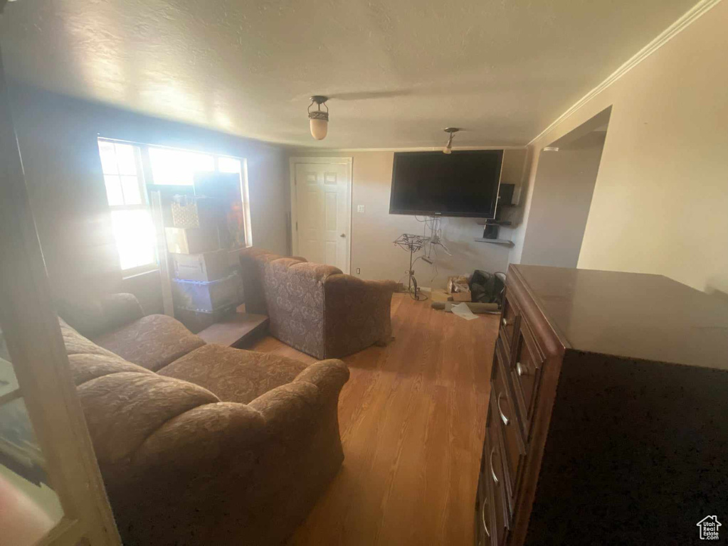 Living room with hardwood / wood-style flooring and ornamental molding