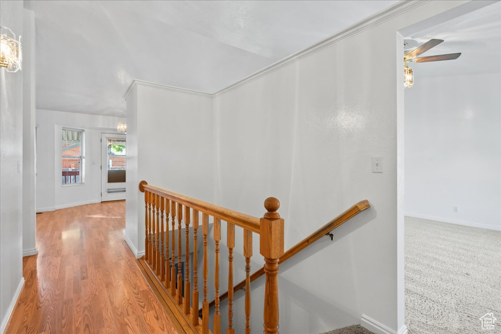 Hall with vaulted ceiling and light hardwood / wood-style flooring