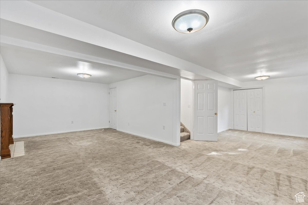 Basement featuring carpet floors