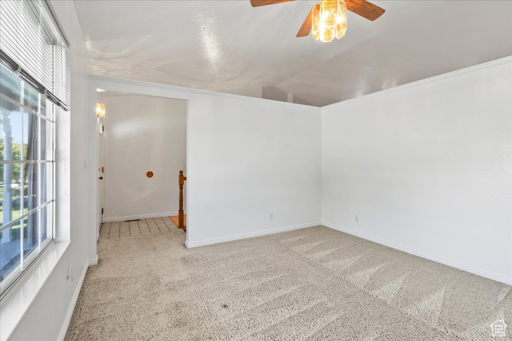 Unfurnished room with ceiling fan and light colored carpet