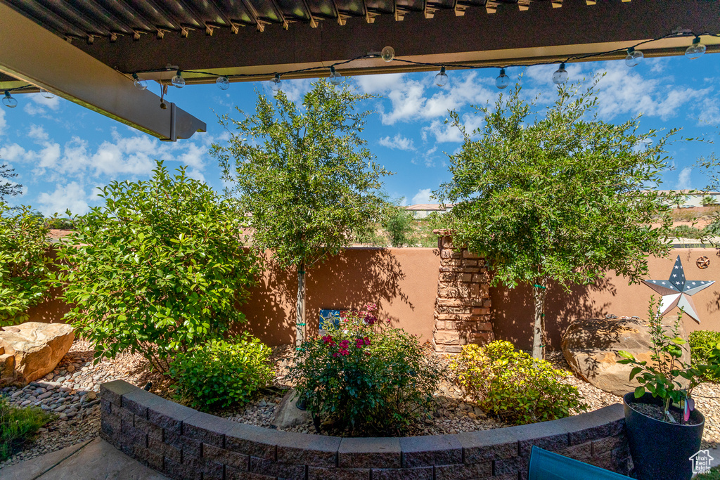 View of patio