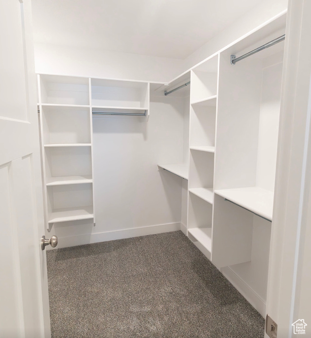 Walk in closet with carpet flooring