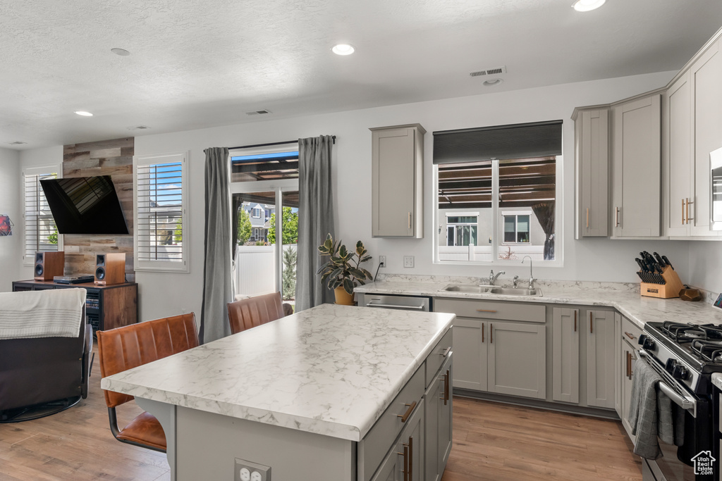 Kitchen with a center island, light hardwood / wood-style floors, gray cabinets, and appliances with stainless steel finishes