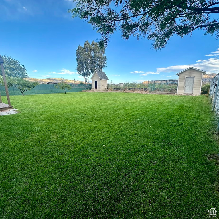 View of yard featuring a shed