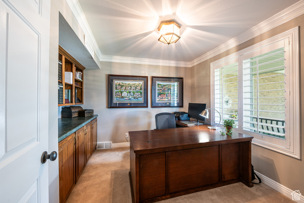 Home office featuring crown molding and light colored carpet