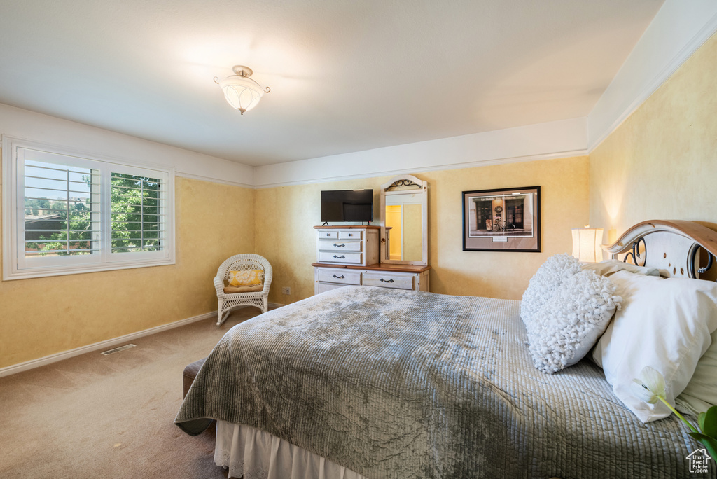 Bedroom featuring carpet