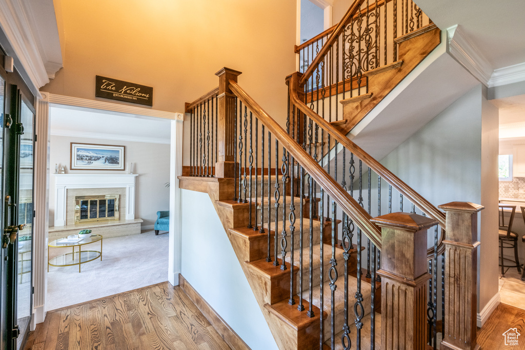 Stairway featuring carpet floors and crown molding