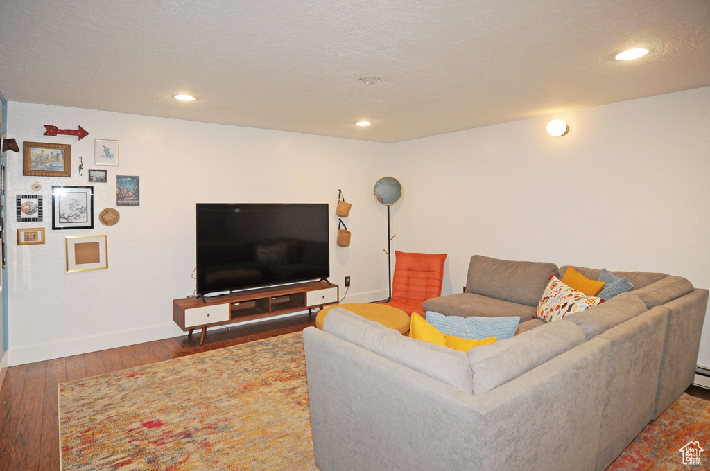 Living room featuring dark wood-type flooring