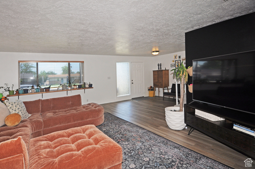 Living room featuring a textured ceiling and hardwood / wood-style flooring