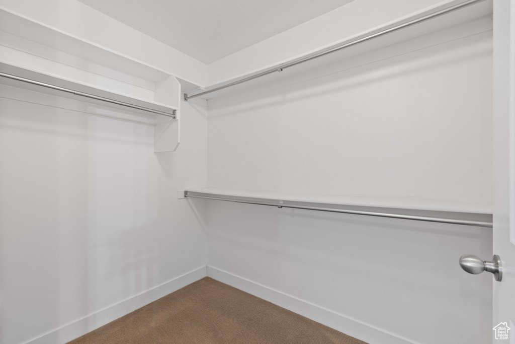 Spacious closet with carpet