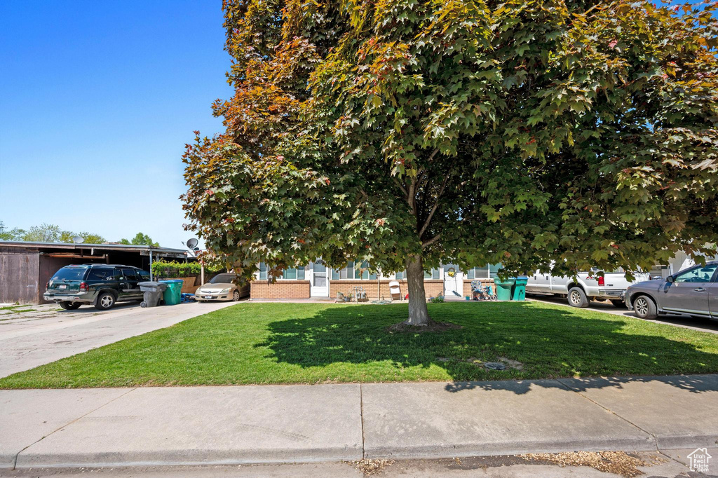 View of property hidden behind natural elements with a front yard