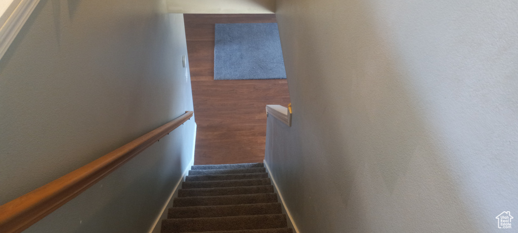 Stairs with dark hardwood / wood-style floors