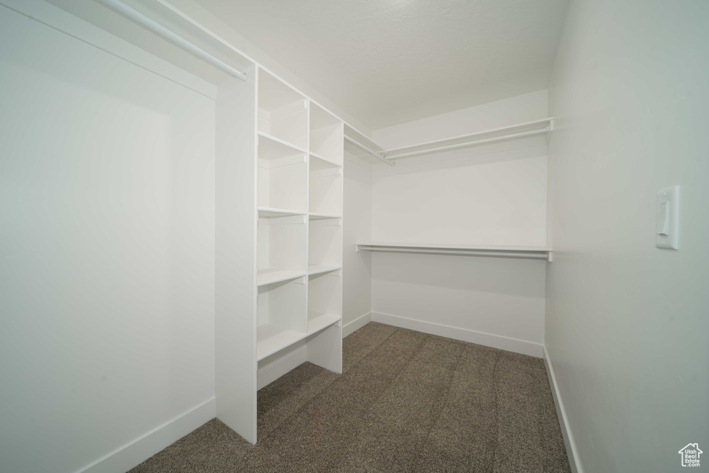 Walk in closet featuring dark carpet