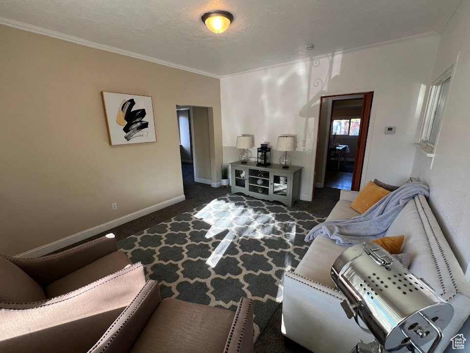 Carpeted living room with crown molding