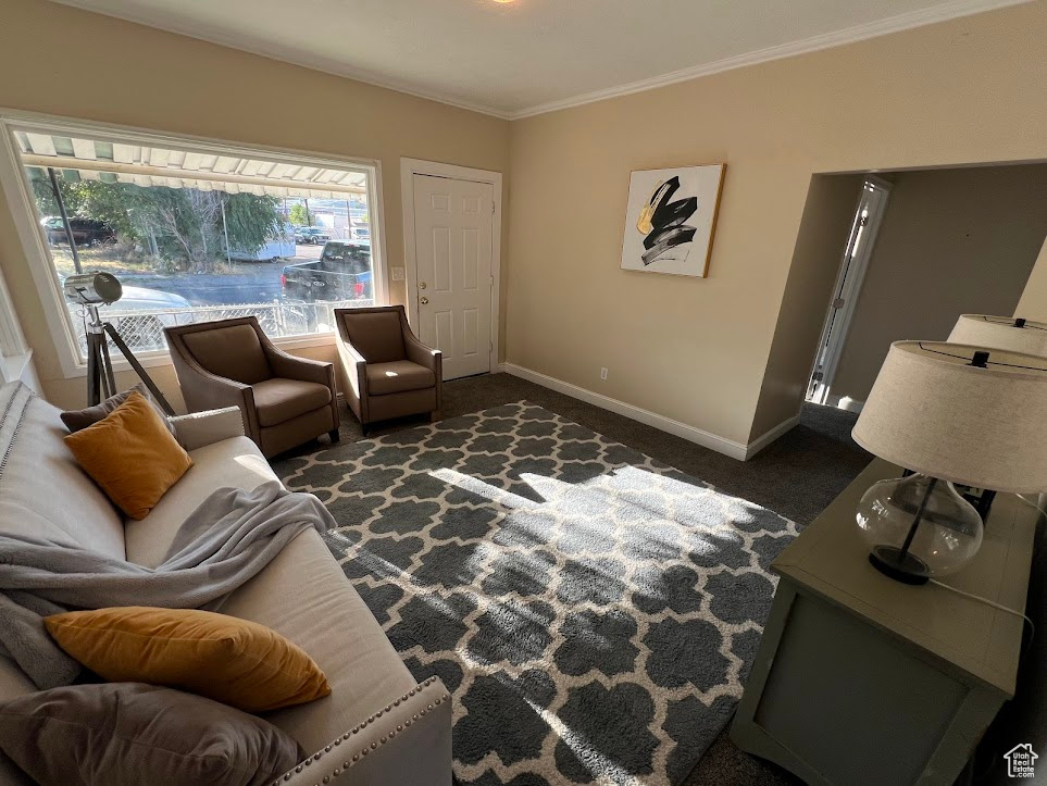 Carpeted living room featuring crown molding