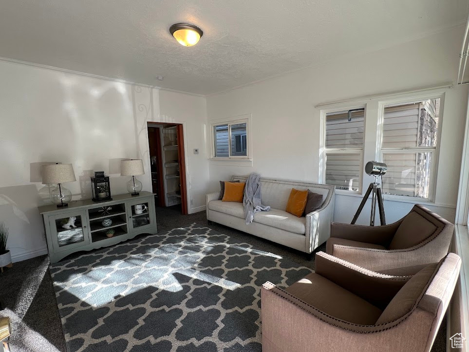 Carpeted living room featuring a textured ceiling