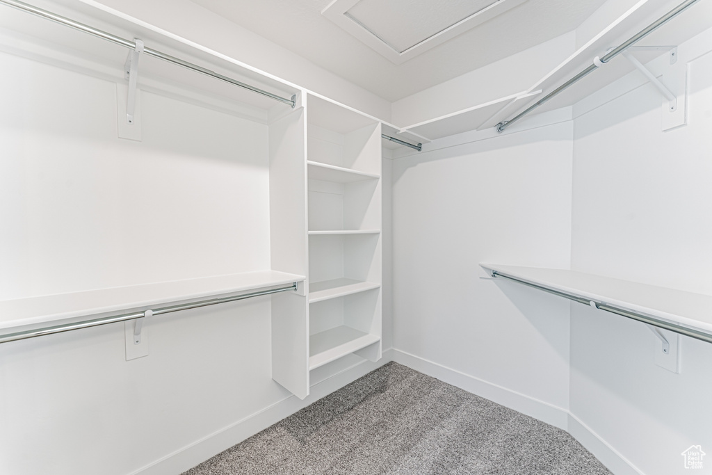 Walk in closet featuring carpet