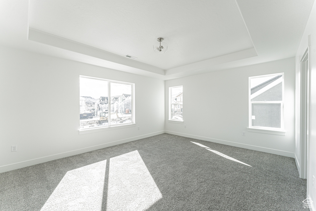 Spare room with a raised ceiling and carpet