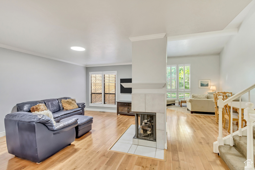 Living room featuring a fireplace, crown molding, and light wood-type flooring