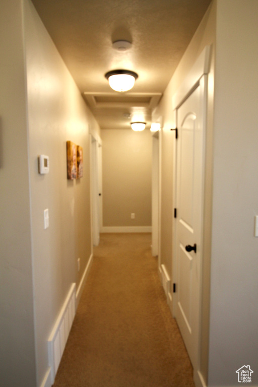 Hallway featuring carpet