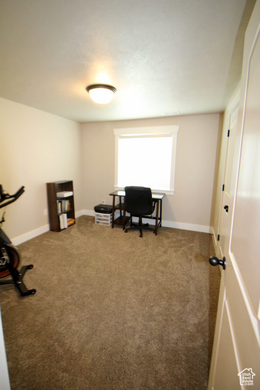 Office featuring carpet flooring