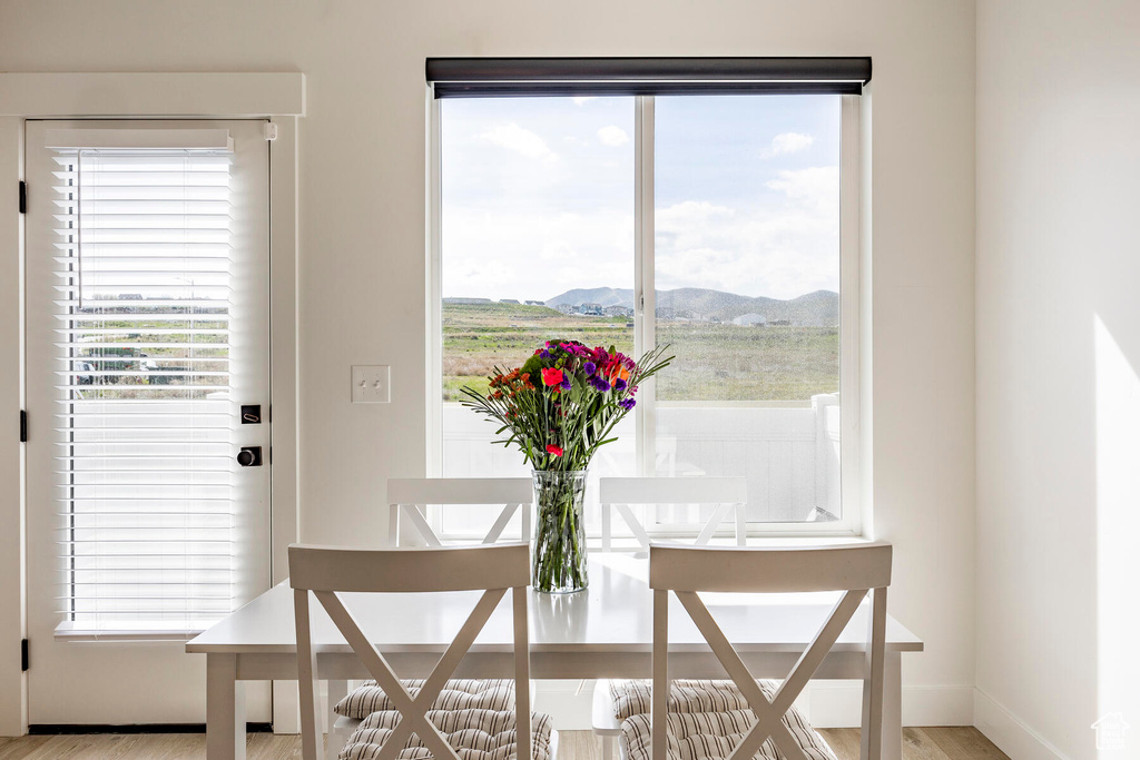 Dining room featuring a mountain view, a healthy amount of sunlight, and light hardwood / wood-style floors