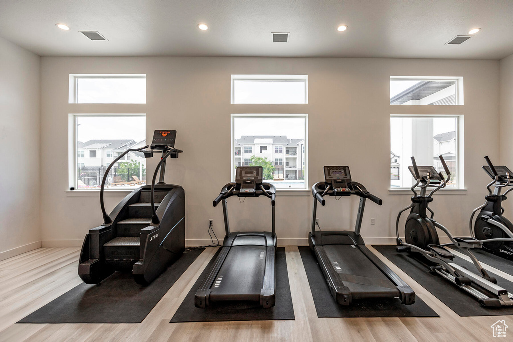 Gym featuring wood-type flooring and plenty of natural light