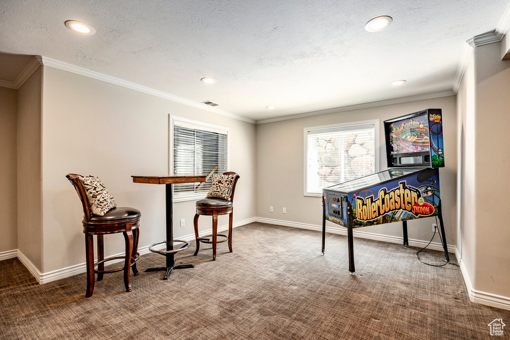 Interior space featuring a textured ceiling, carpet, and ornamental molding