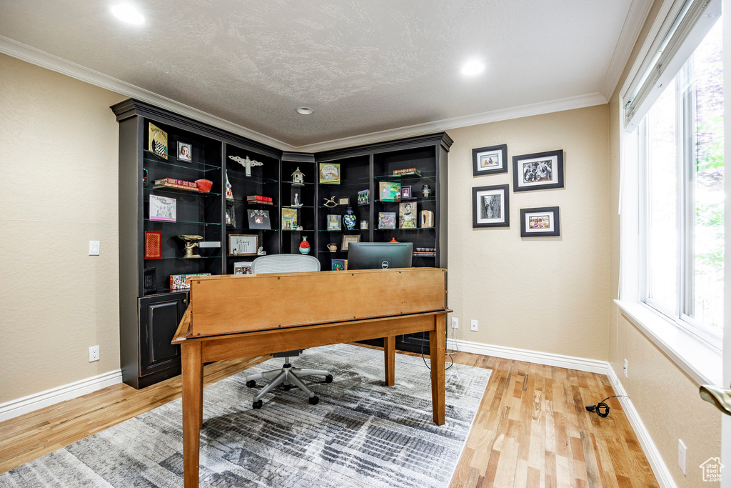 Office featuring light hardwood / wood-style flooring, a healthy amount of sunlight, and ornamental molding