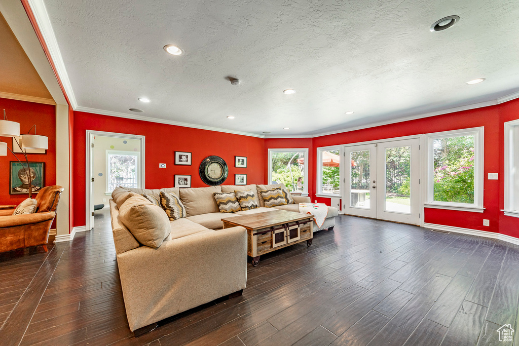 Living room with crown molding, french doors, dark hardwood / wood-style flooring, and a textured ceiling