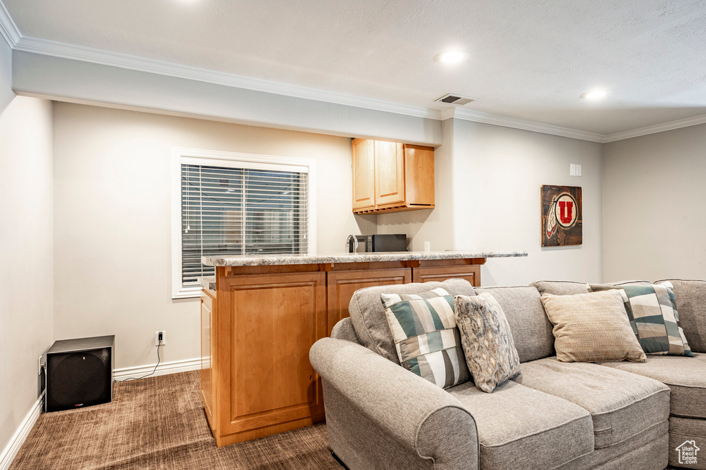 Carpeted living room featuring crown molding