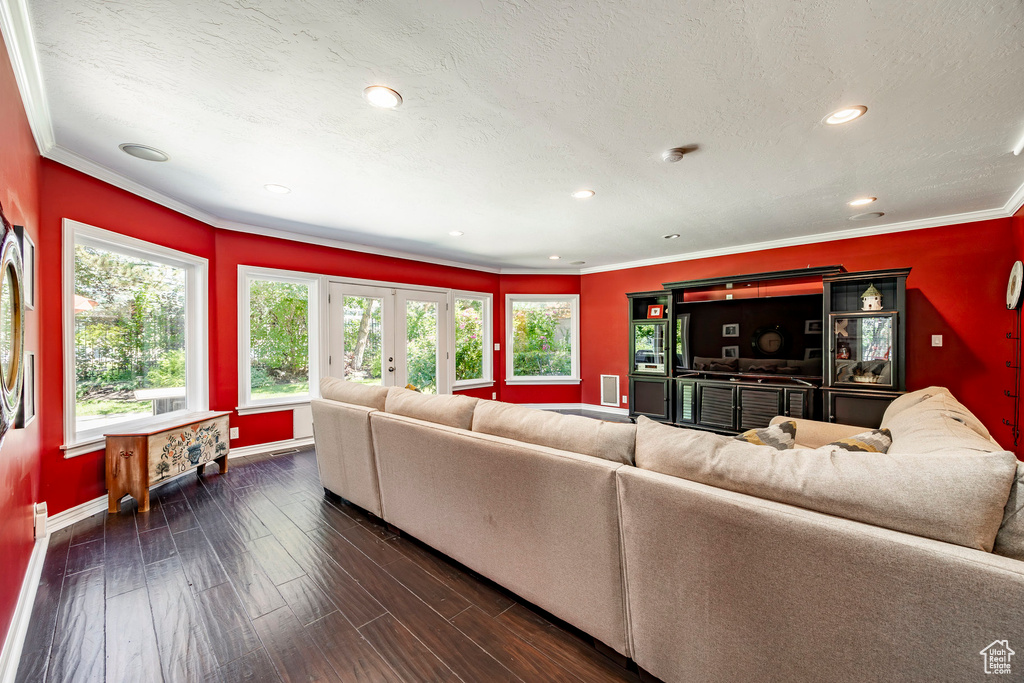 Living room featuring crown molding, dark wood-type flooring, french doors, and a textured ceiling