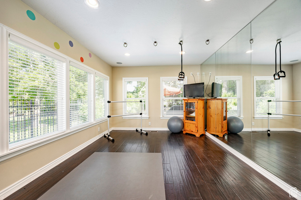 Exercise area featuring dark hardwood / wood-style floors