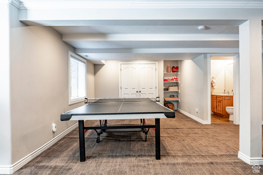 Playroom featuring carpet and ornamental molding