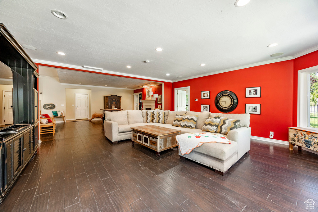 Living room featuring ornamental molding and dark hardwood / wood-style flooring