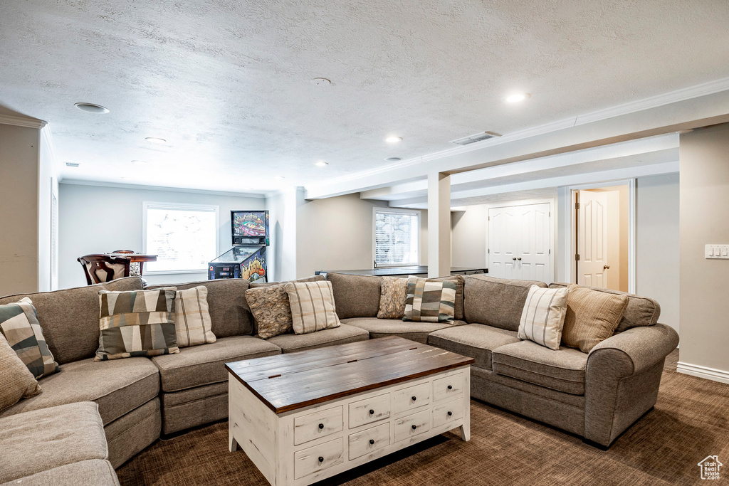 Carpeted living room featuring a textured ceiling and ornamental molding