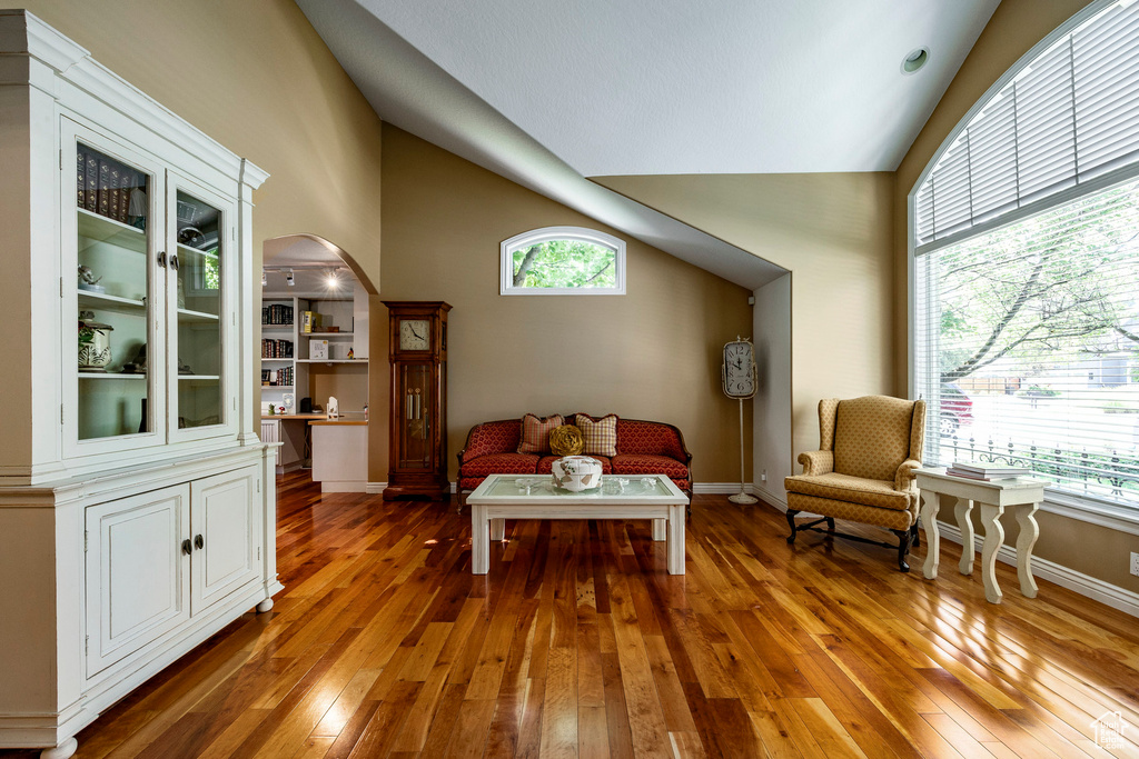 Living area featuring high vaulted ceiling and wood-type flooring