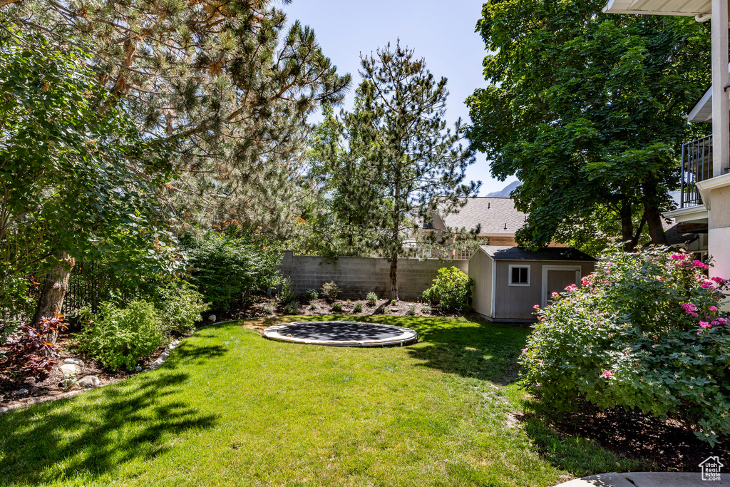 View of yard featuring a storage unit