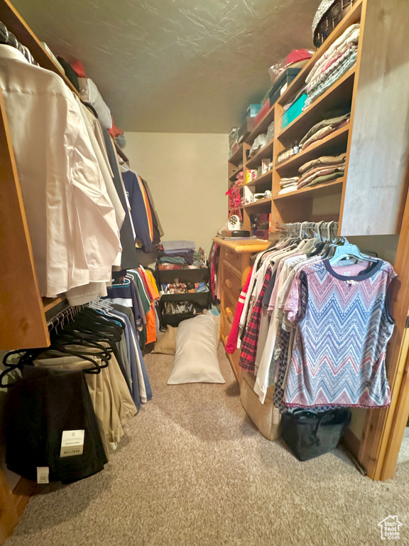 Spacious closet featuring carpet flooring