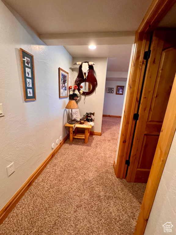 Corridor featuring carpet