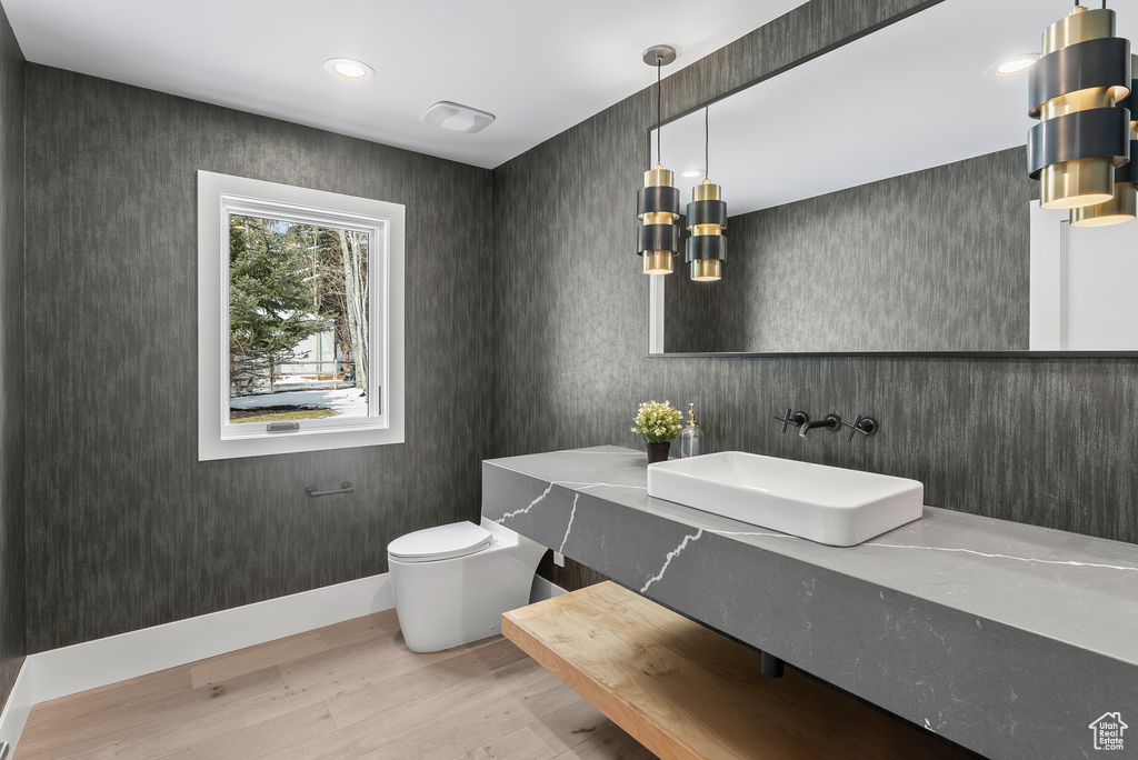 Bathroom with hardwood / wood-style flooring, toilet, and vanity