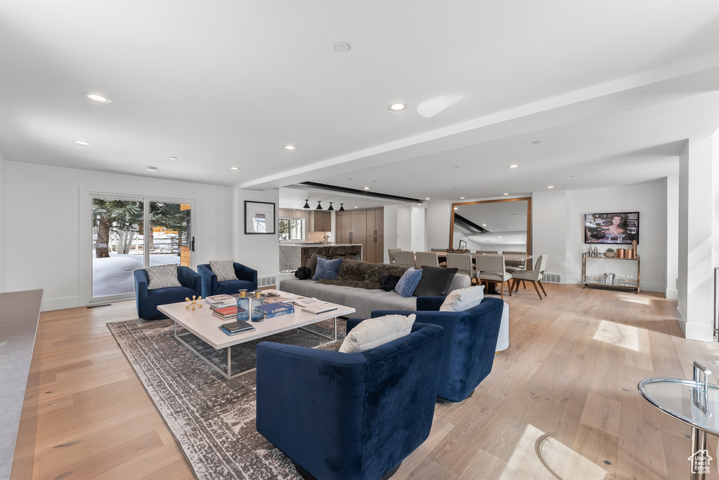 Living room featuring light wood-type flooring