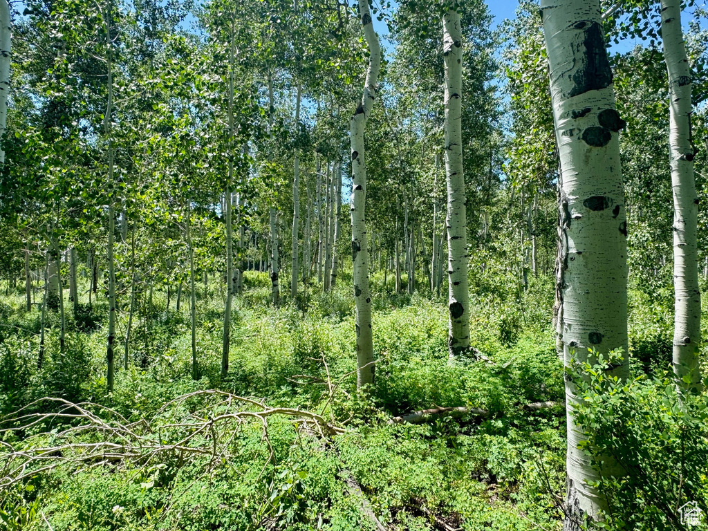 View of landscape