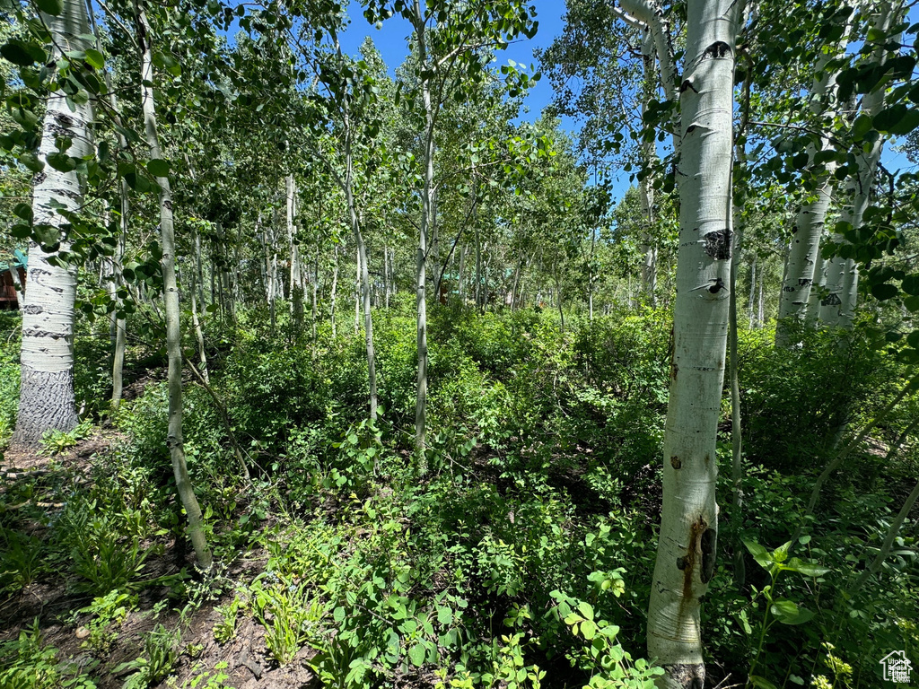 View of landscape