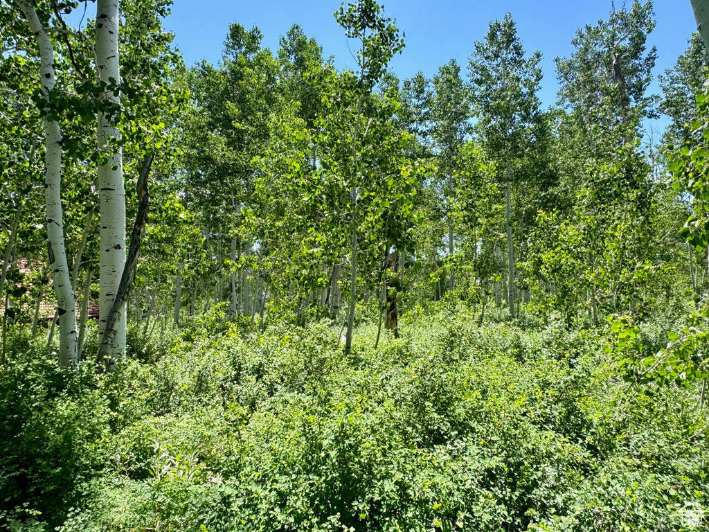 View of landscape