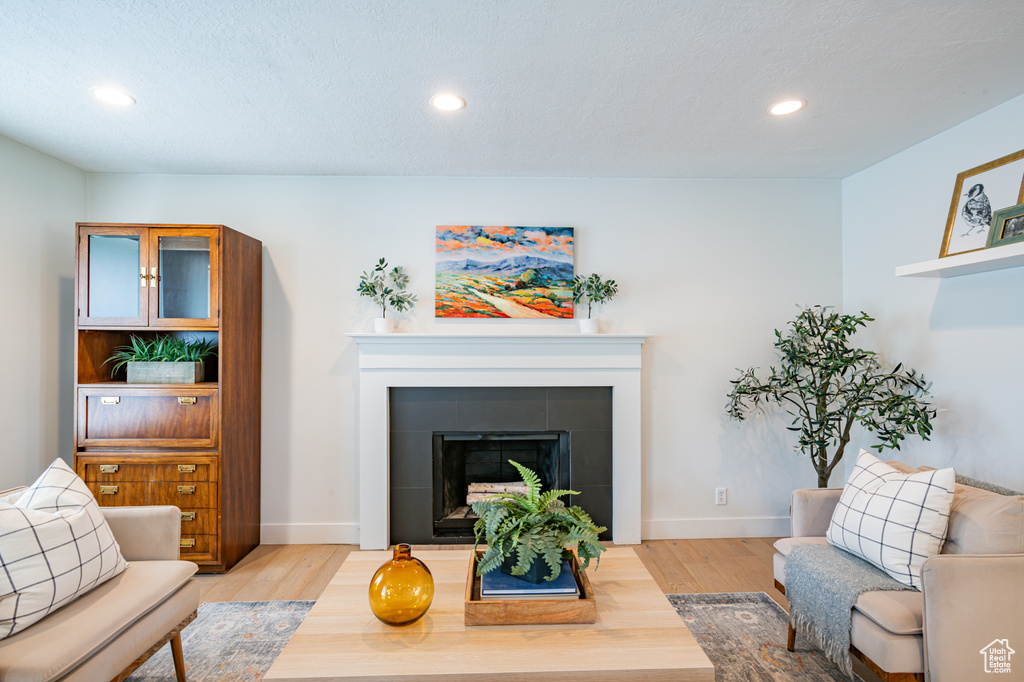 Living room featuring a fireplace and light wood-type flooring