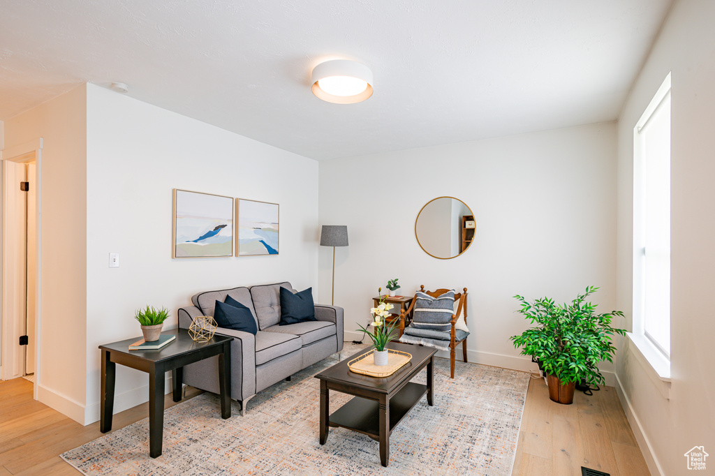 Living room featuring light hardwood / wood-style floors