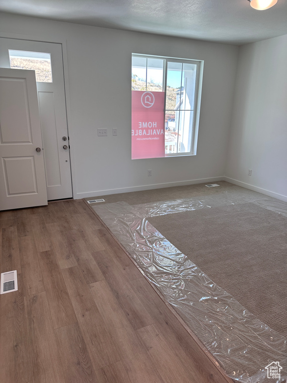 Entrance foyer featuring light hardwood / wood-style floors and a wealth of natural light