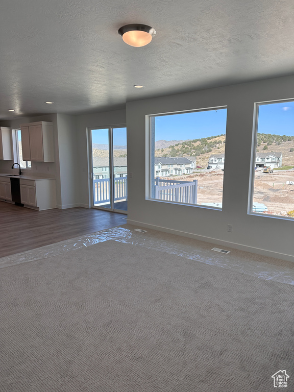 Unfurnished living room featuring a wealth of natural light, a textured ceiling, hardwood / wood-style floors, and sink